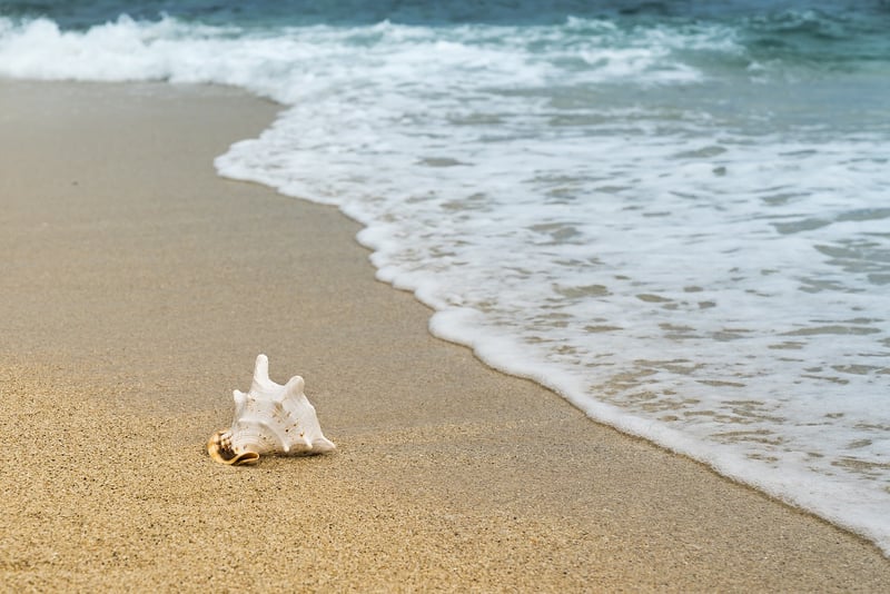 Beach Stroll